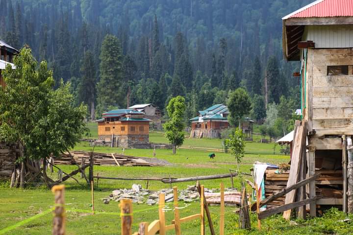 Kashmir Valley - Green homes and trees