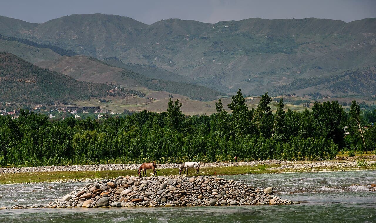 Illustrative photograph of the Swat River, with horses on a gravel bar and forested ridges behind.