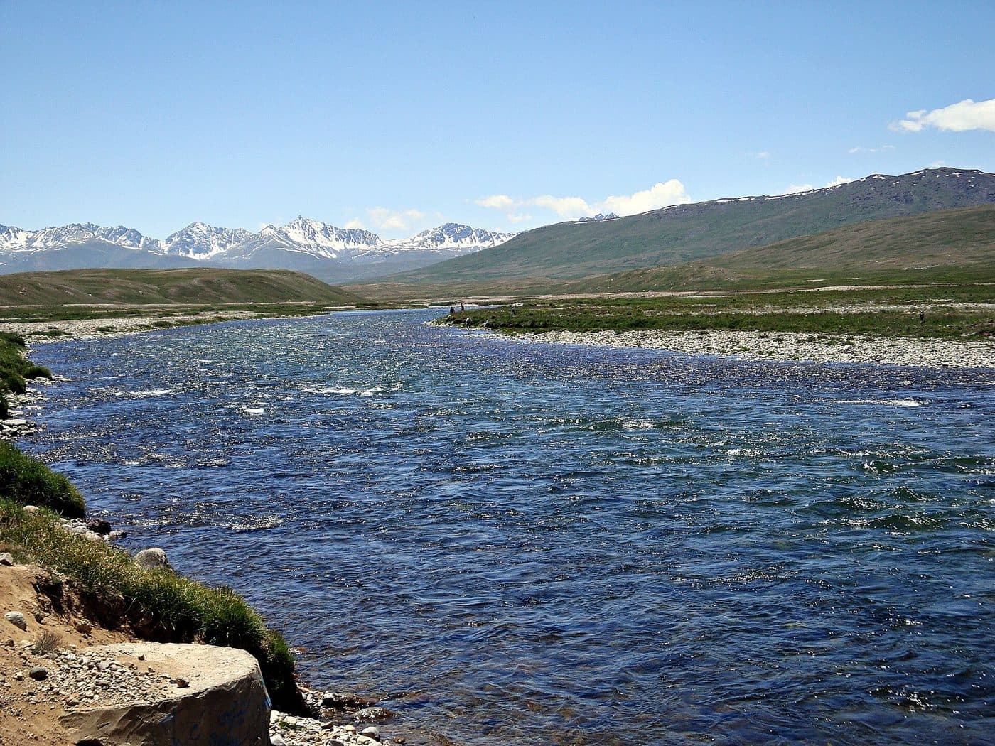 Bara Pani, the stream across Deosai.