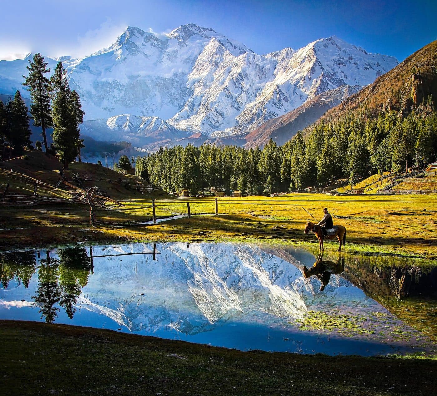 Fairy Meadows with Nanga Parbat beyond the pasture.