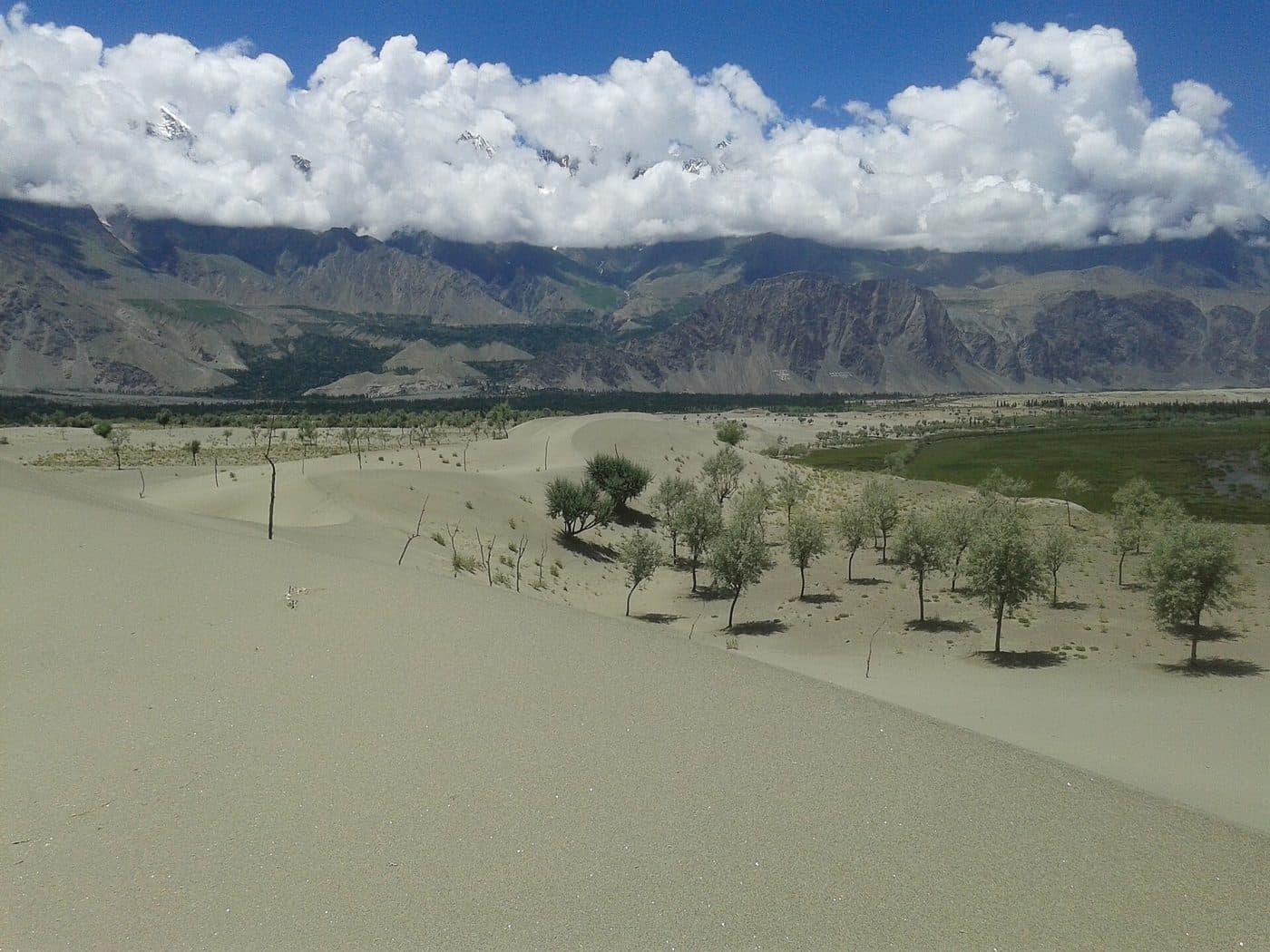 Sand dunes of the Katpana cold desert near Skardu.