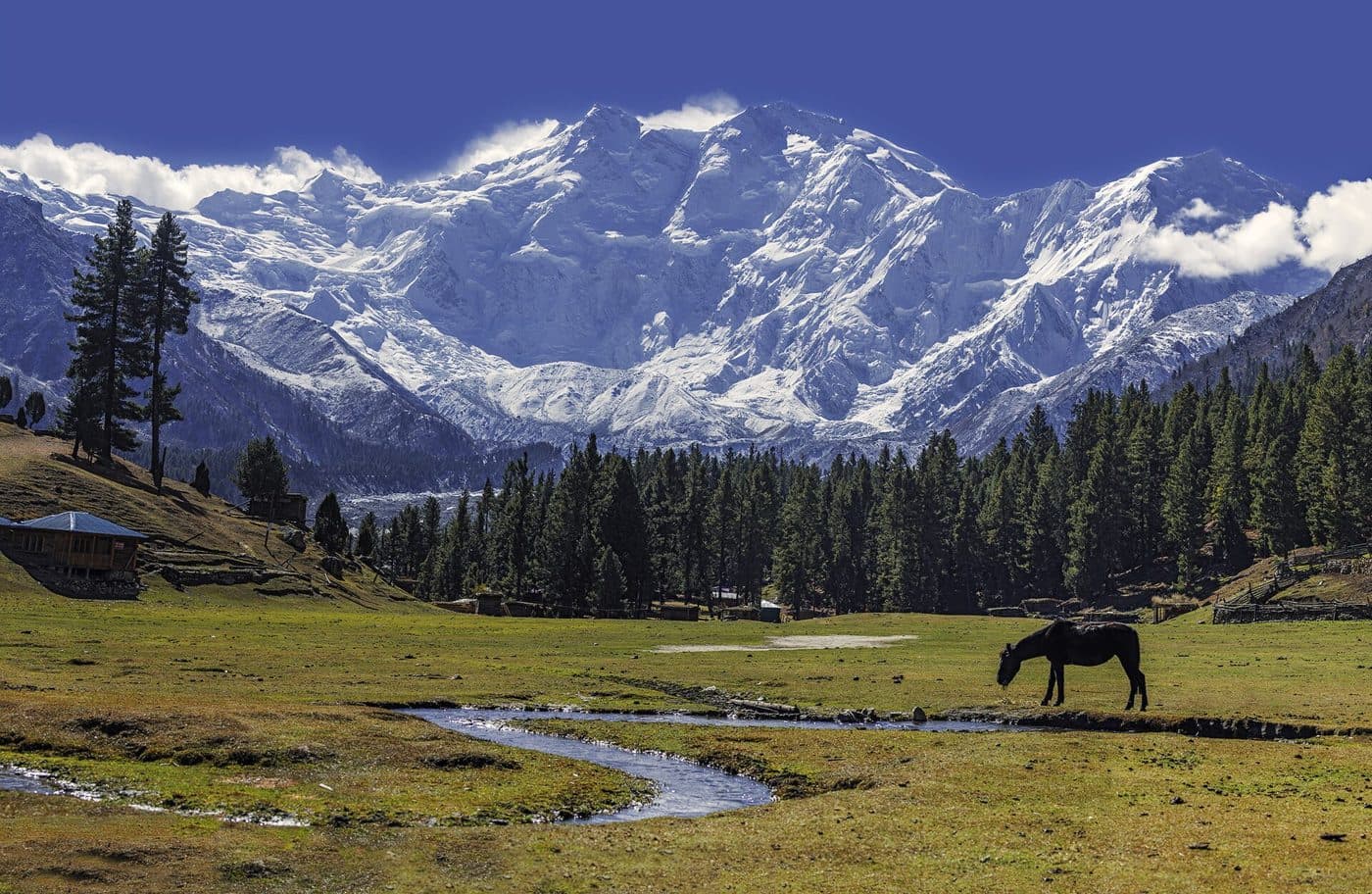 Nanga Parbat seen from Fairy Meadows.