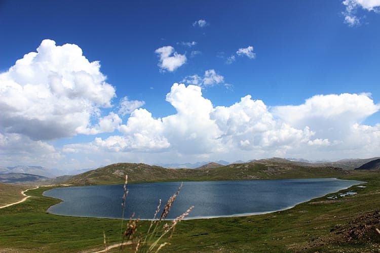 A high lake on the Deosai plateau, with green ridges and a wide sky.